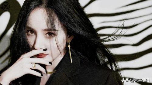 娱乐吃瓜酱杨洋,娱乐吃瓜酱中的璀璨明星